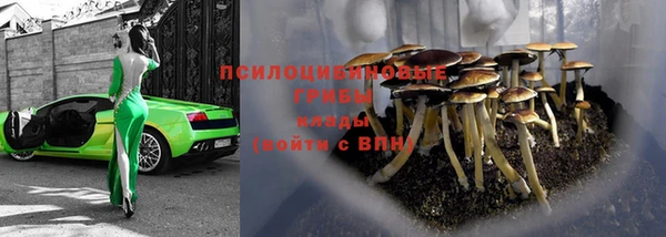 СК Одинцово